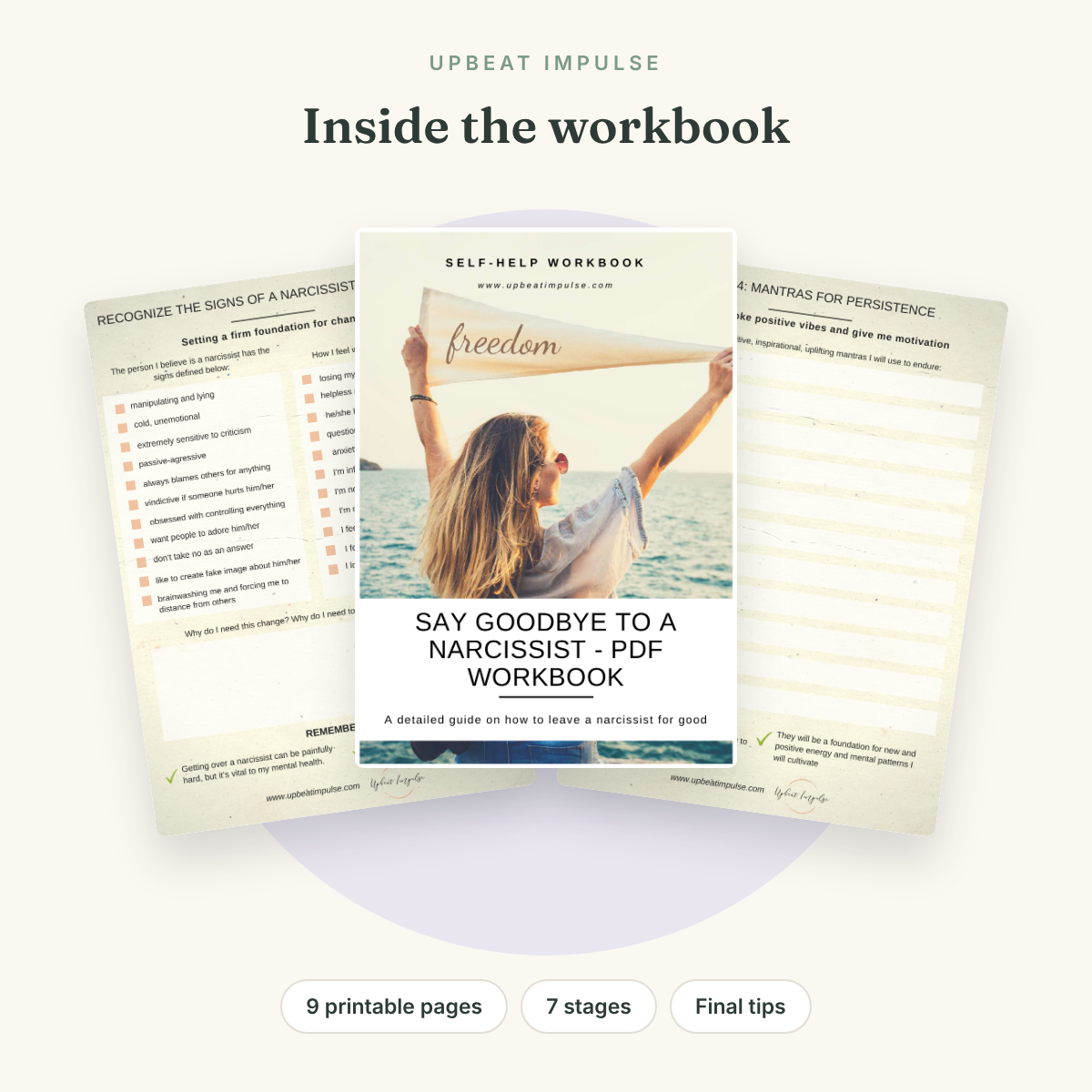 Narcissistic Abuse Recovery Program cover